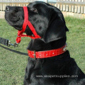 Durable Dog Head Colla Training Tool Leashes